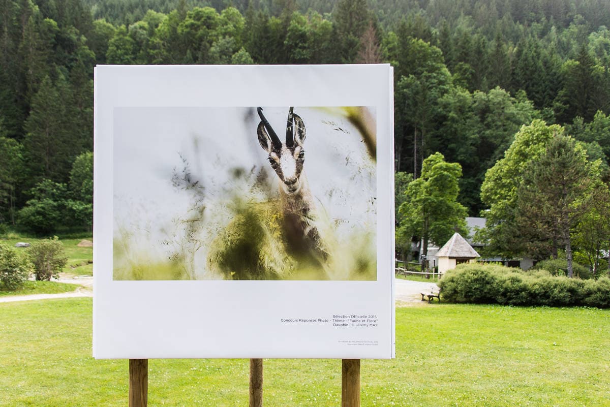 Concours : Réponses Photo et Mont-Blanc Photofestival